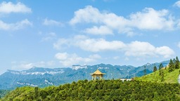 【城市远洋】重庆南川：谷雨时节 茶树飘香