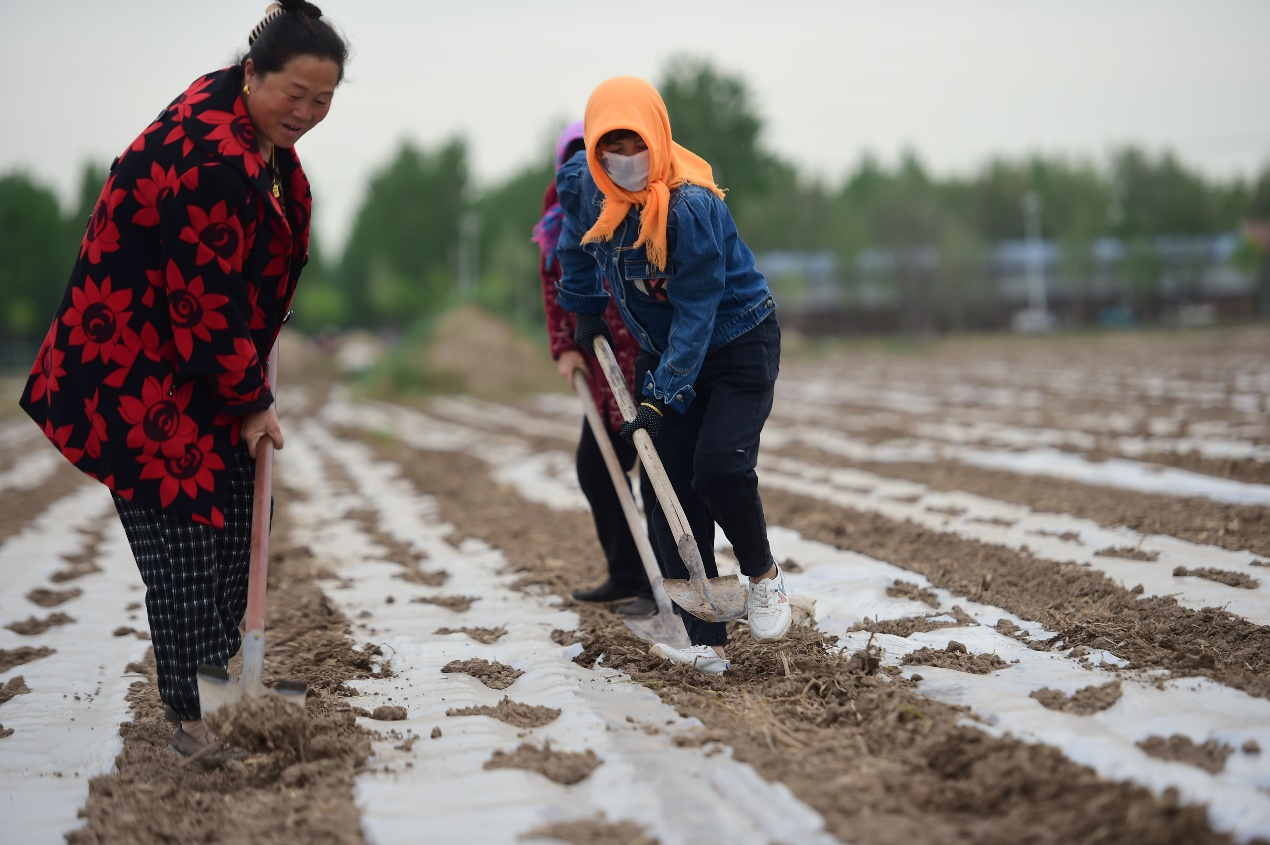 图片默认标题_fororder_图片13