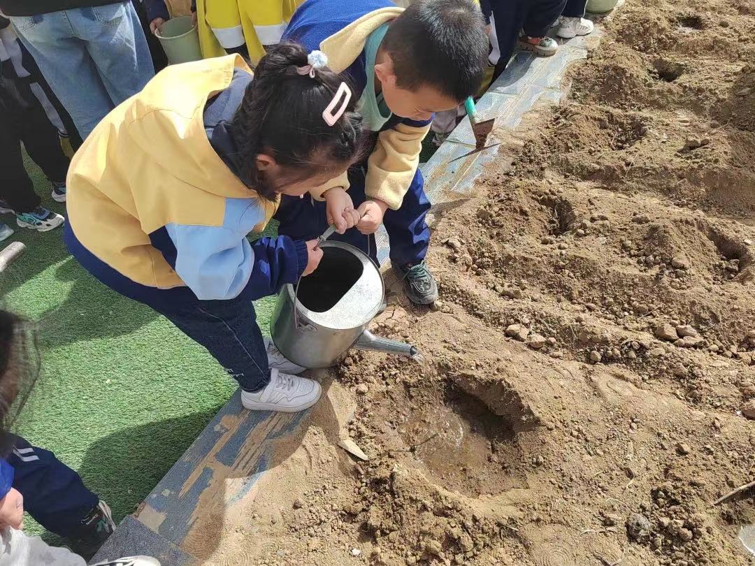 图片默认标题_fororder_幼儿搭档共同喂小种子“喝水”