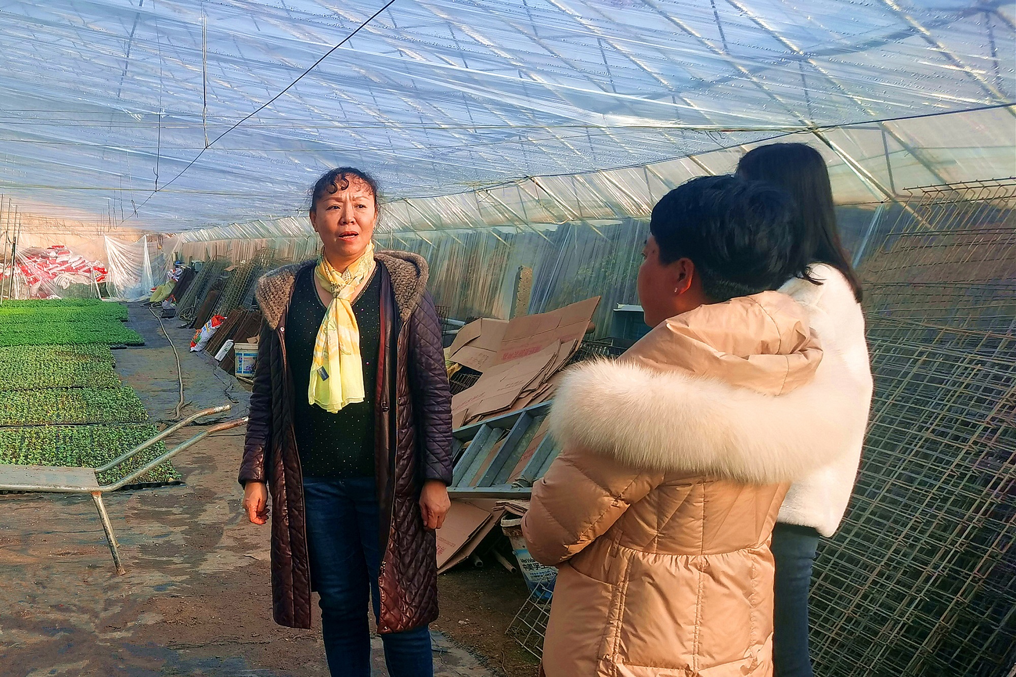 图片默认标题_fororder_1