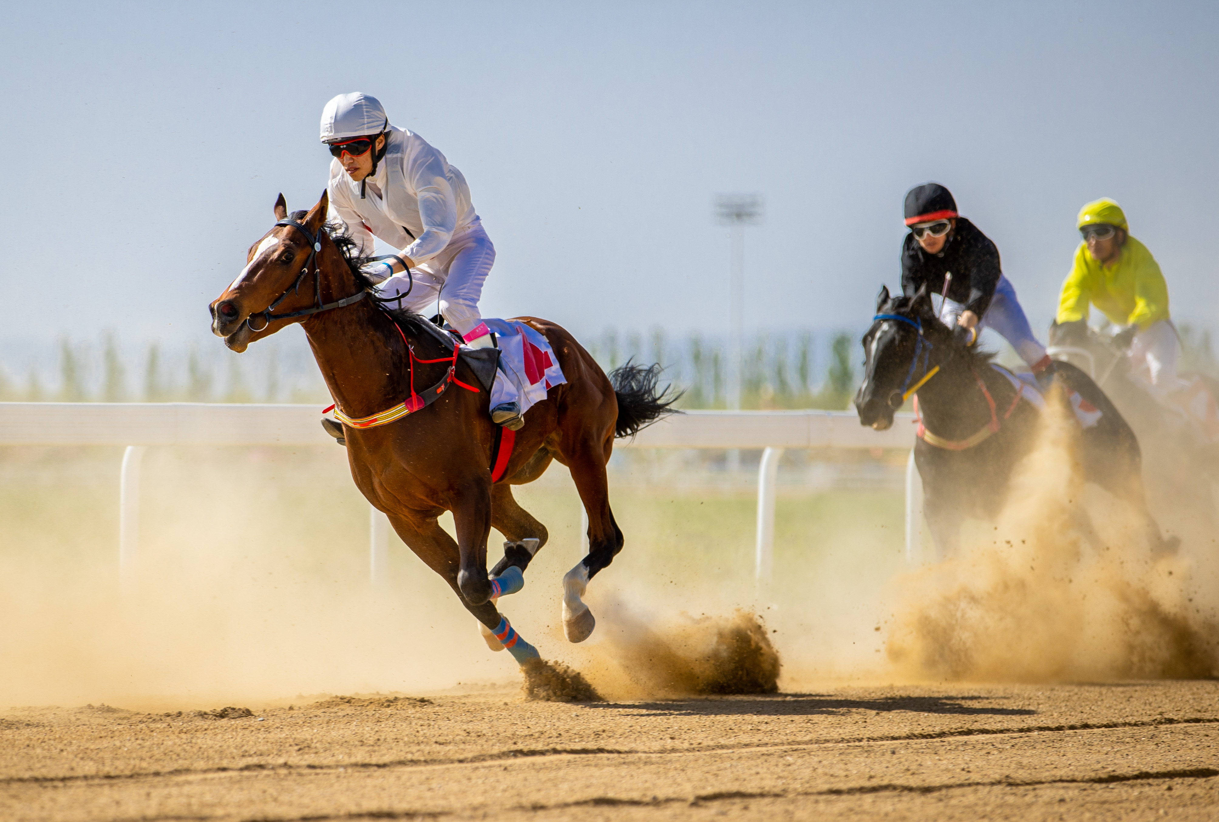 馬背上的“速度與激情”_fororder_9——2023年5月21日，選手在國産2歲純血馬1000米速度賽馬比賽中角逐。    20230521-A01I3424