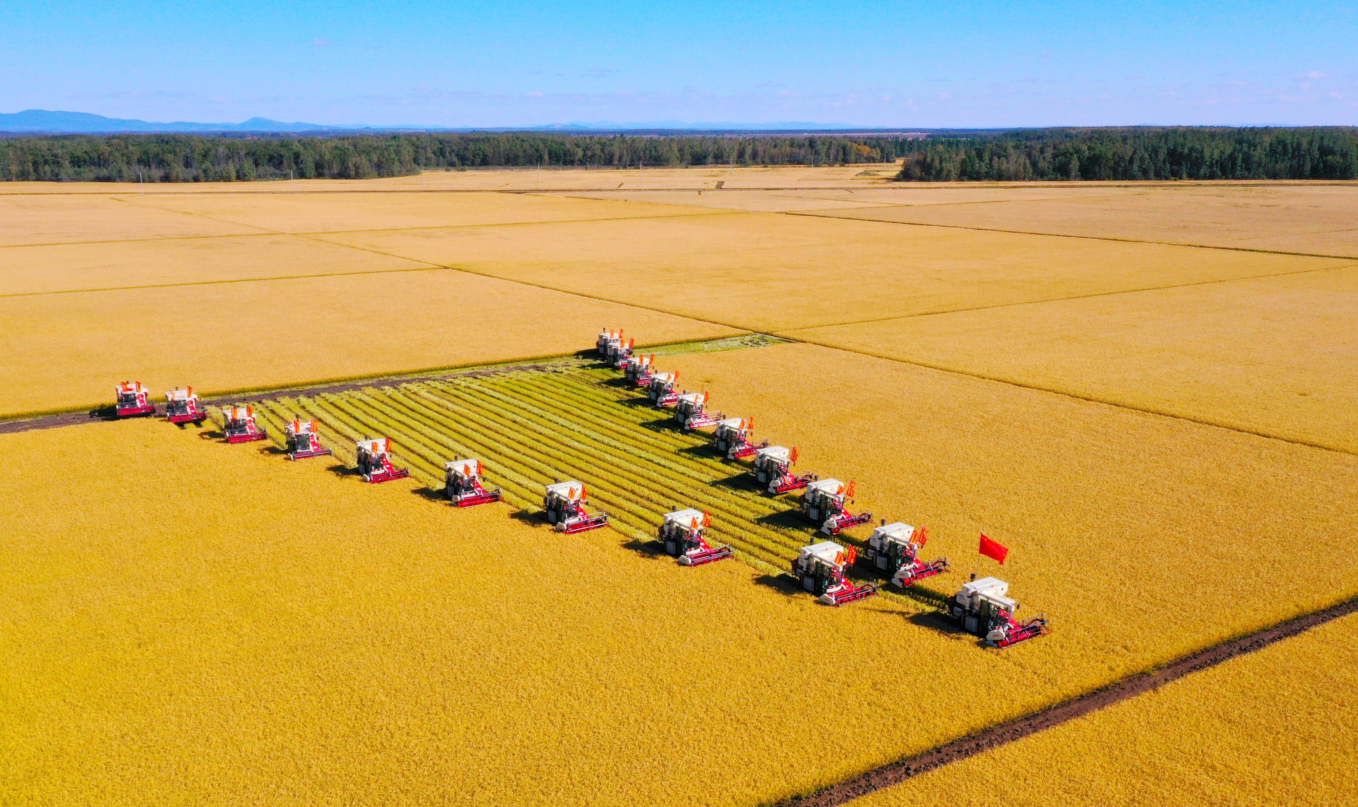 协同奔赴新征程 ——北大荒集团牡丹江分公司推进“二次创业”工作纪实_fororder_建设高质量农业大基地