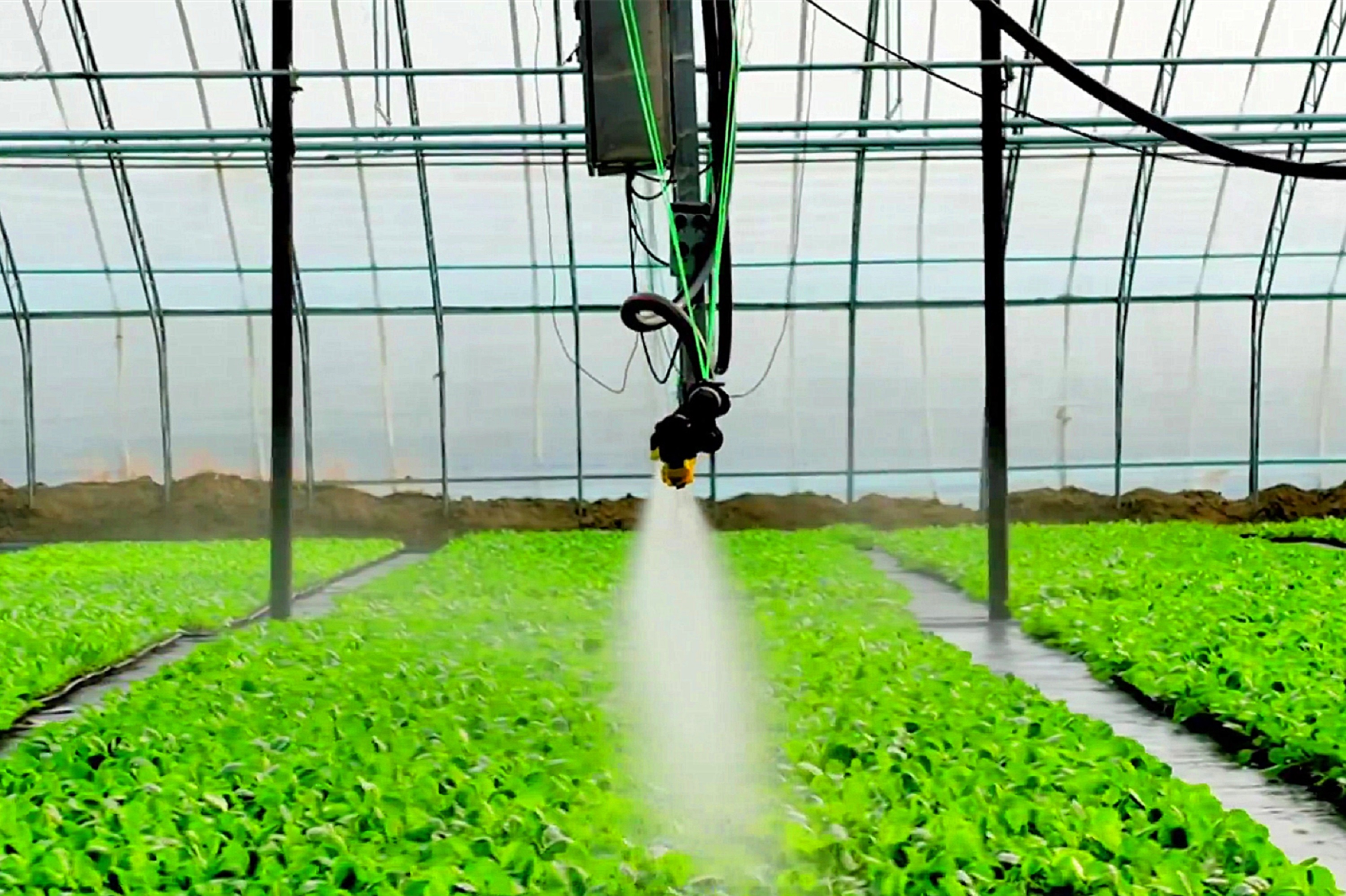 图片默认标题_fororder_5