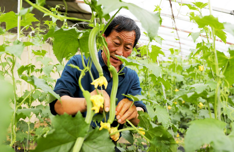 图片默认标题_fororder_图片6