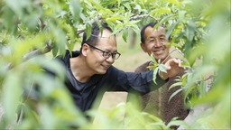 图片默认标题