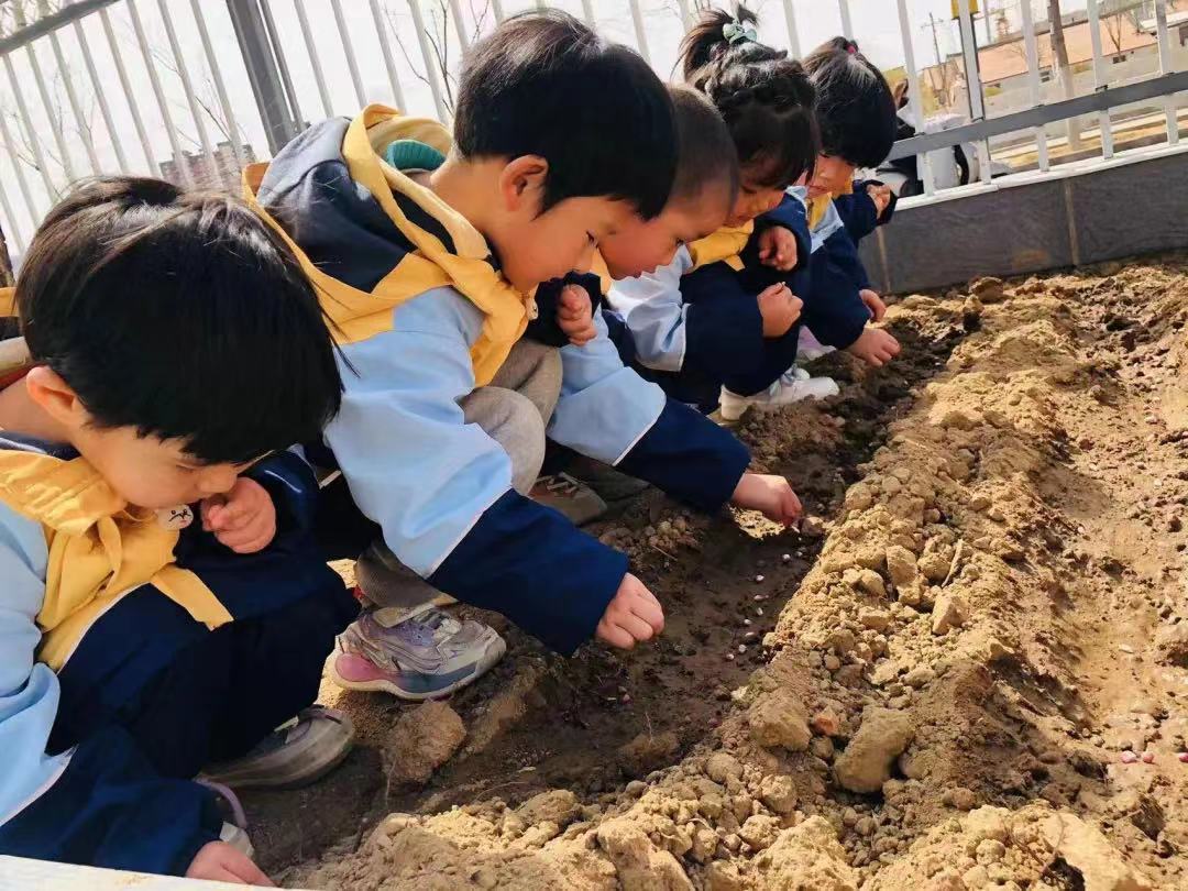 图片默认标题_fororder_孩子们体验播撒种子