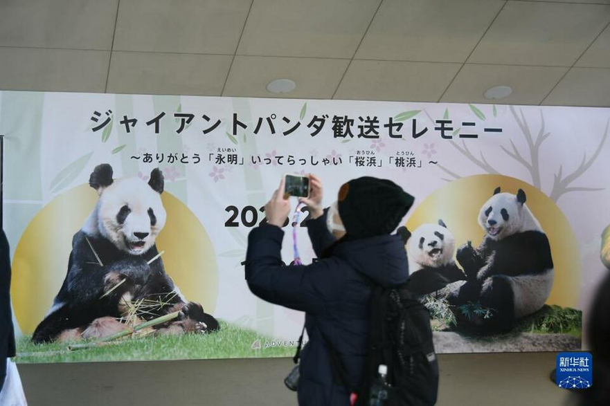 Japanese Panda Fans Bid Farewell to Giant Pandas Yong Ming, Ying Bang and Tao Bang