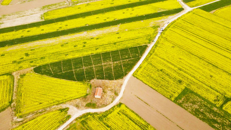 图片默认标题_fororder_图片1