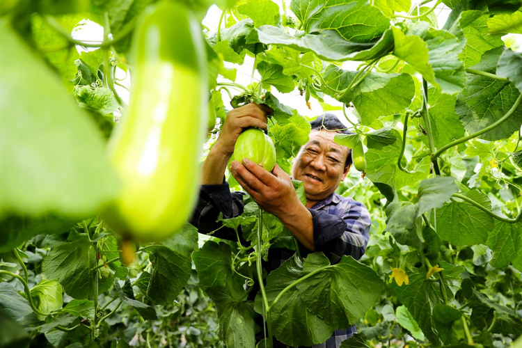 图片默认标题_fororder_图片3