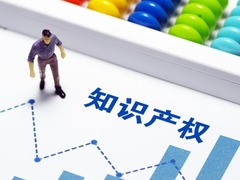 加强政策支持 保护知识产权
