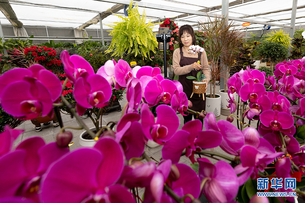 图片默认标题_fororder_1129547297_16820679072601n