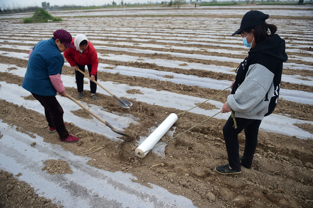 图片默认标题_fororder_图片15