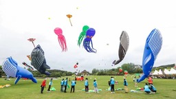 全国运动风筝锦标赛在武汉黄陂开赛
