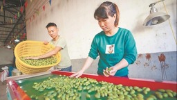 福建：地标“金名片”催生产业新活力