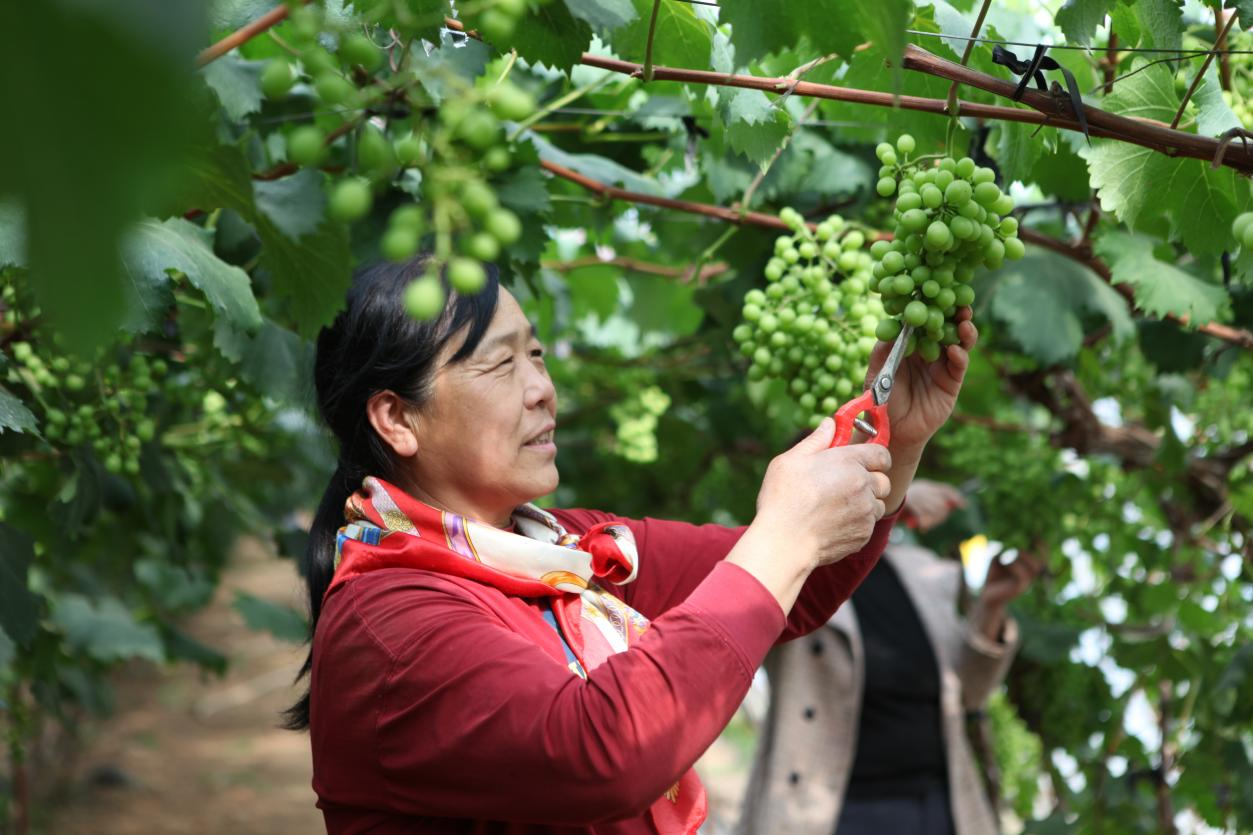 图片默认标题_fororder_图片6