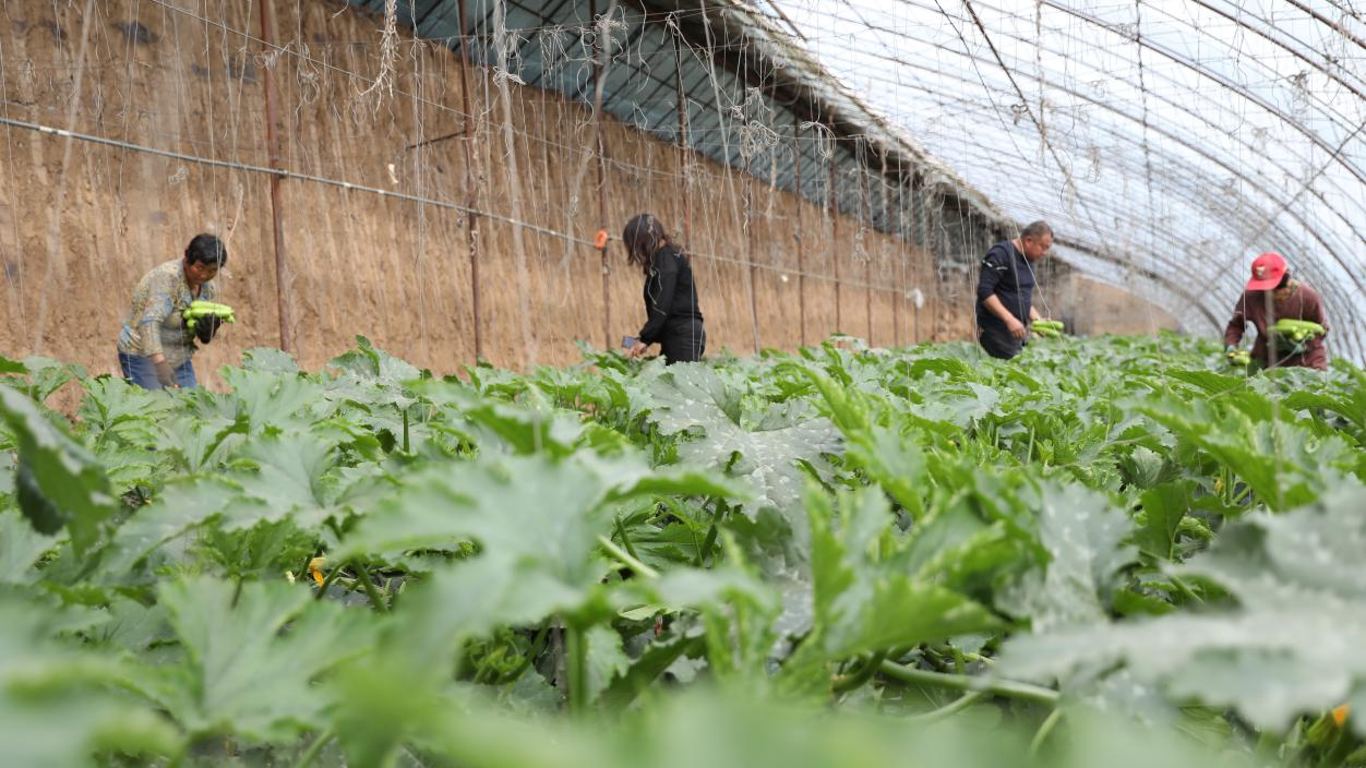 图片默认标题_fororder_图片2