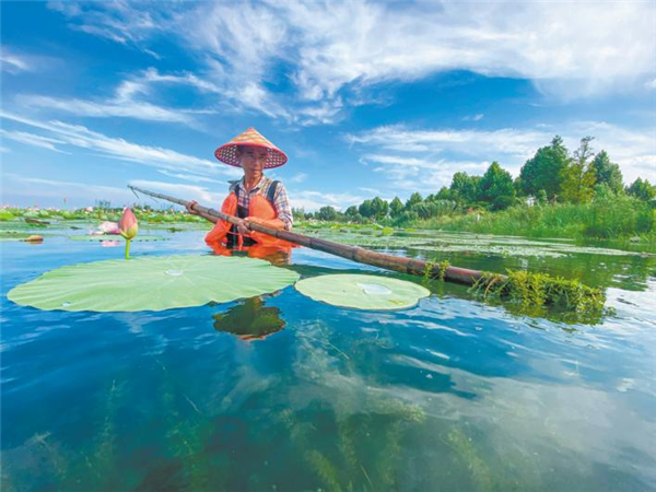 湖北：五年舒画卷 千里大江新_fororder_02