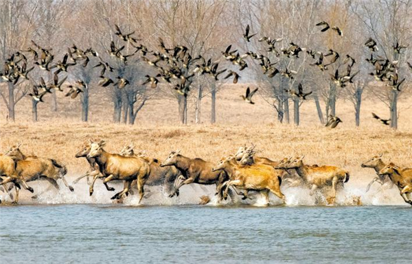 湖北：五年舒画卷 千里大江新_fororder_07