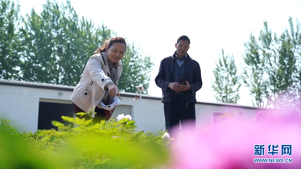 图片默认标题_fororder_1129547297_16820679072081n