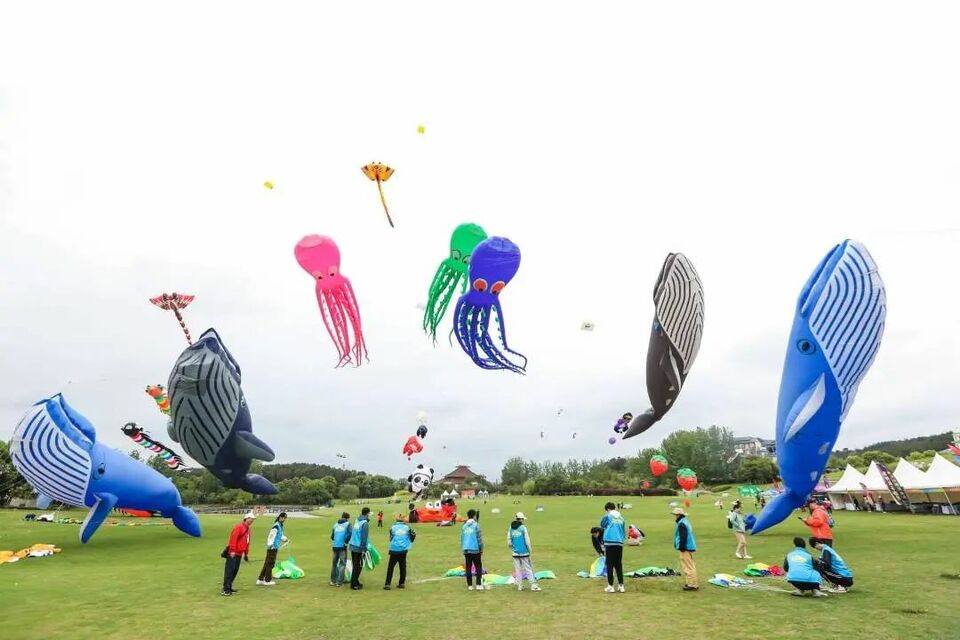 全國運動風箏錦標賽在武漢黃陂開賽
