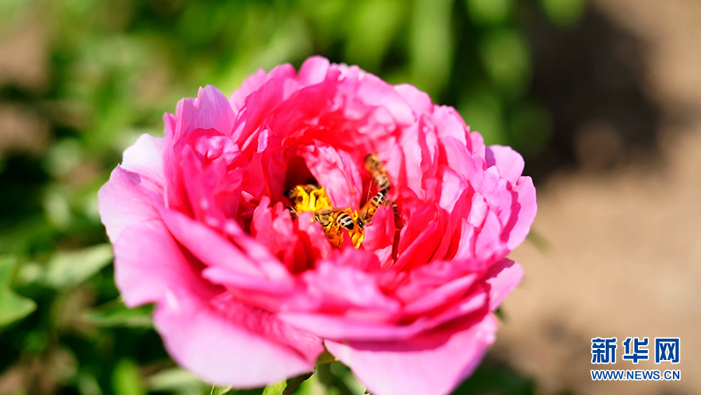 图片默认标题_fororder_1129547297_16820679073421n