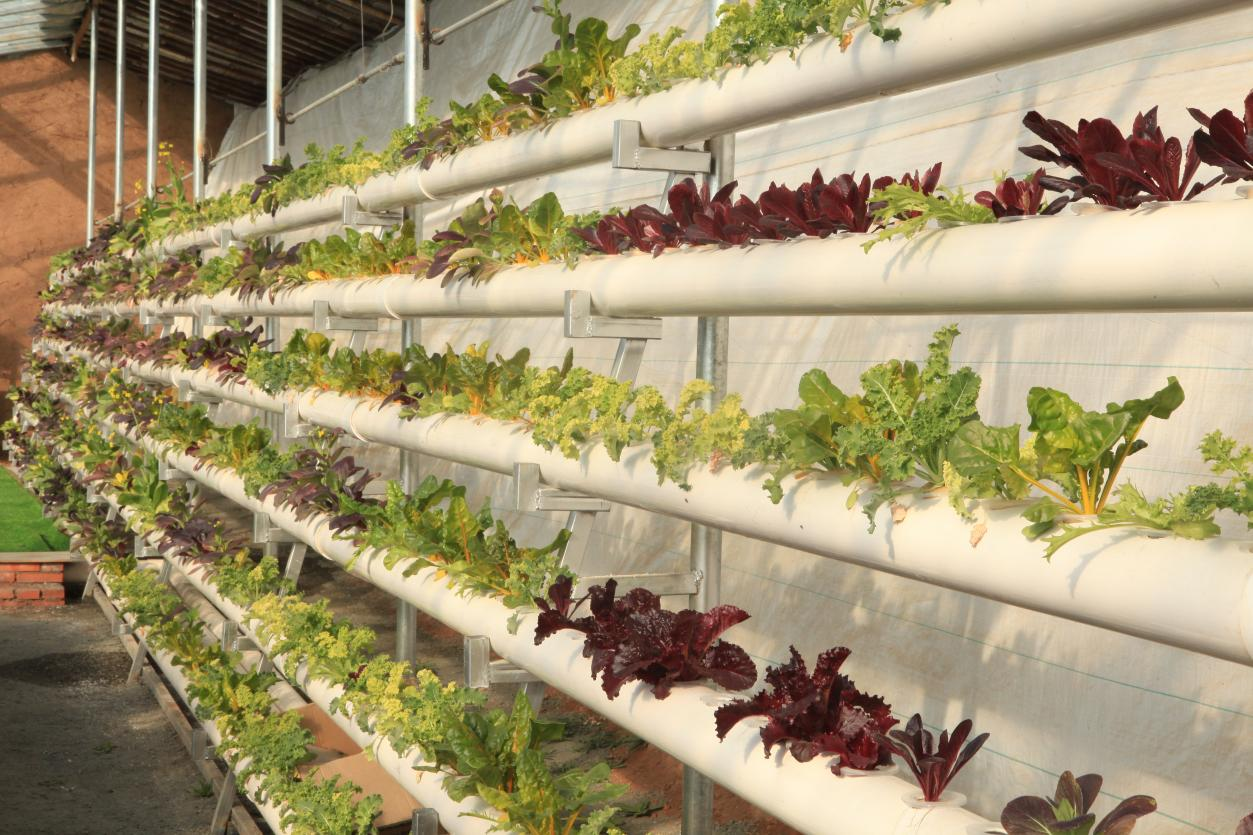 图片默认标题_fororder_图片4