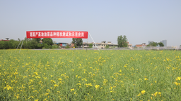 第五届全国（杨凌）油菜科技大会在陕西杨凌召开