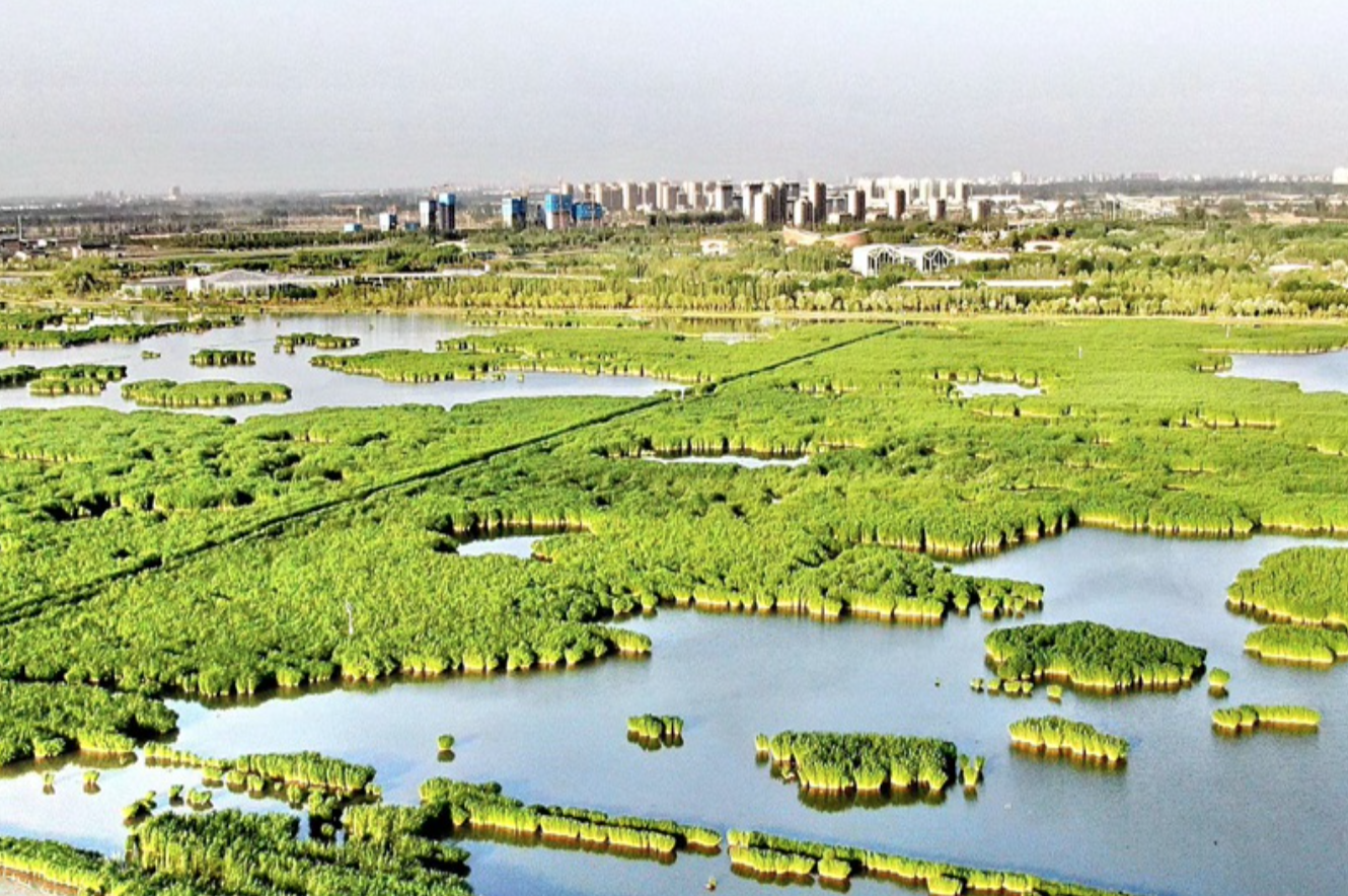 寧夏銀川:建設美麗河湖繪就宜居畫卷_fororder_截屏2023-05-24 09.23.51