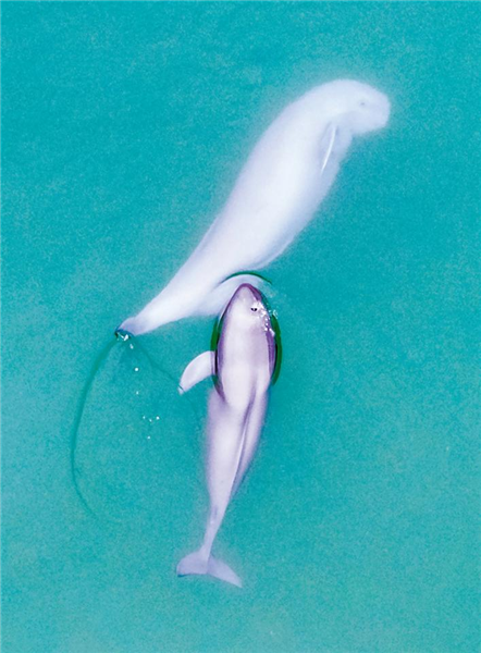 湖北：五年舒画卷 千里大江新_fororder_04