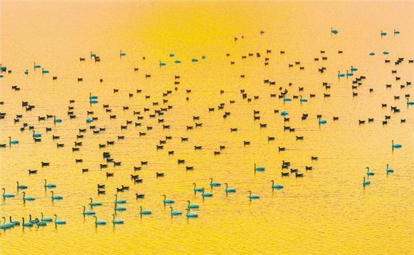 湖北：五年舒画卷 千里大江新_fororder_06