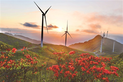 杜鵑花開染朝霞_fororder_微信圖片_20230427093517