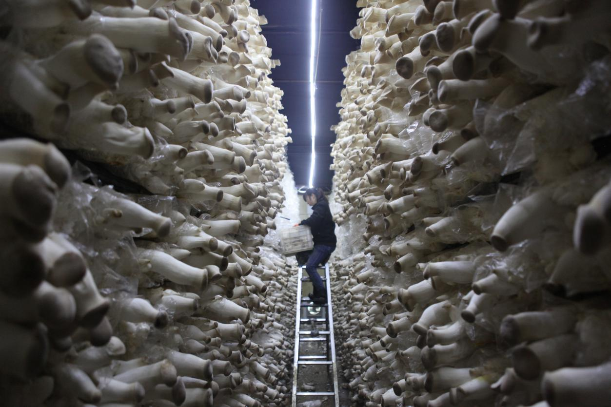 图片默认标题_fororder_图片5