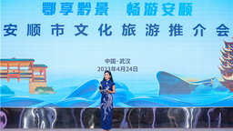 安顺市文化旅游推介会在武汉举行