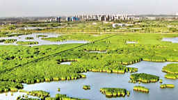 宁夏银川：建设美丽河湖绘就宜居画卷