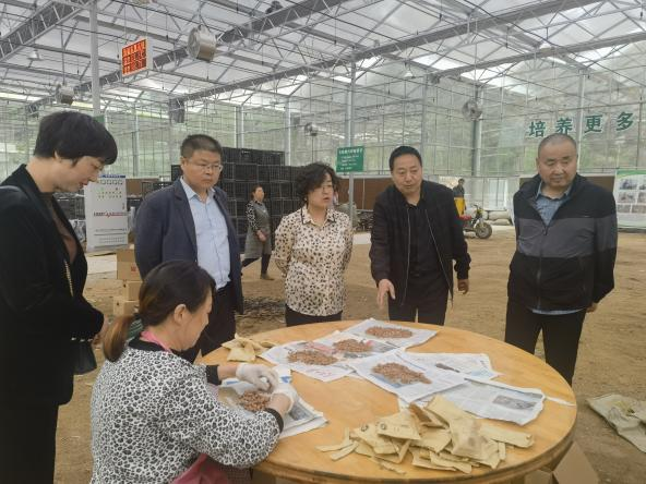 西安国际港务区赴汉中市略阳县开展区域对口帮扶工作_fororder_图片31