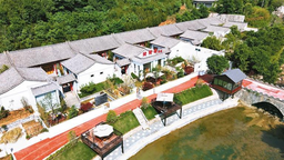 荞麦花开绘新景 农旅融合促振兴 蓝田县绘就乡村美丽新画卷