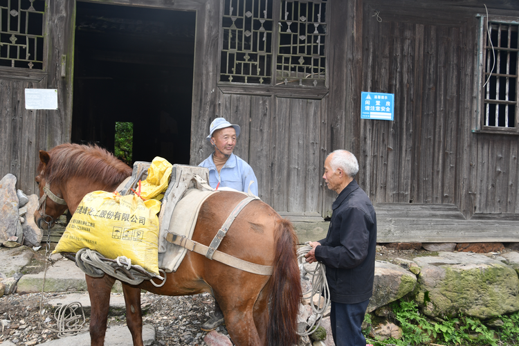 坚持46年为乡亲们送货上门 湖南新邵有位“马上邮递员”_fororder_图片2