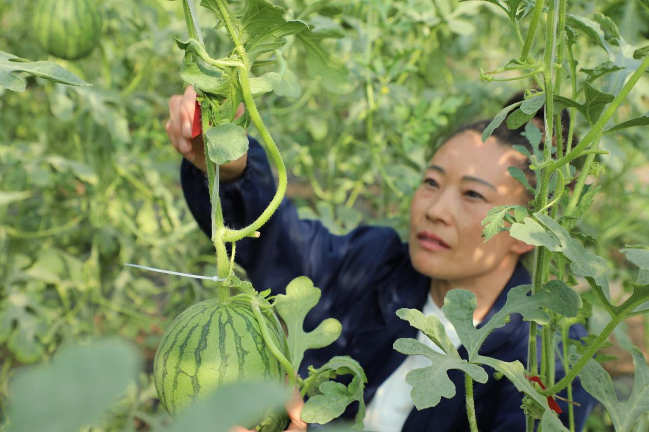 图片默认标题_fororder_图片15