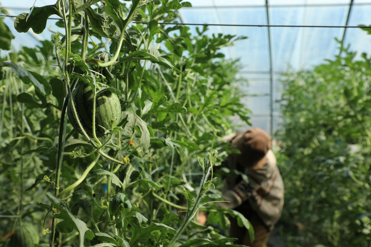 图片默认标题_fororder_图片20