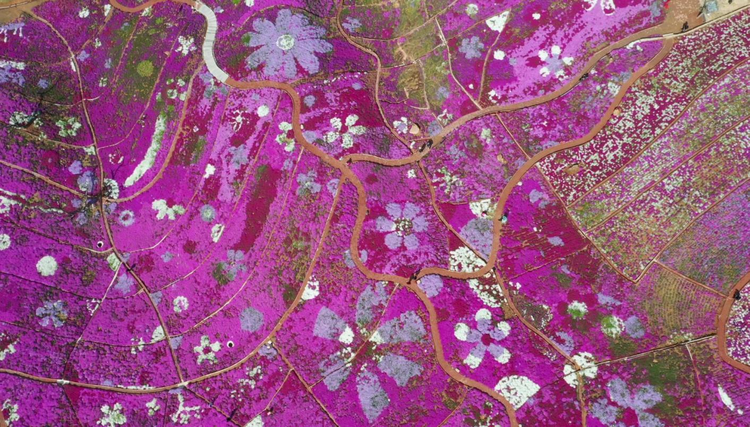 圖片默認標題_fororder_圖片11