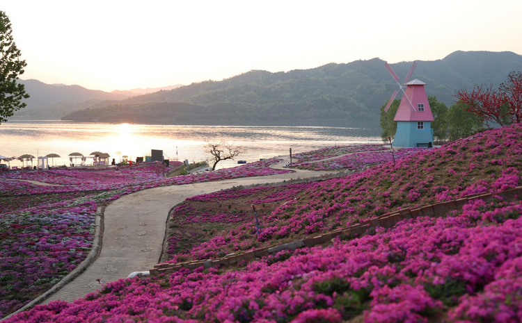 圖片默認標題_fororder_圖片13