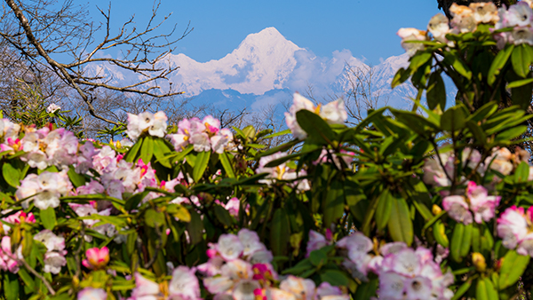 五一去哪玩 雅安石棉王崗坪景區恢復開放_fororder_雅安美景-供圖-雅安市委宣傳部(6)