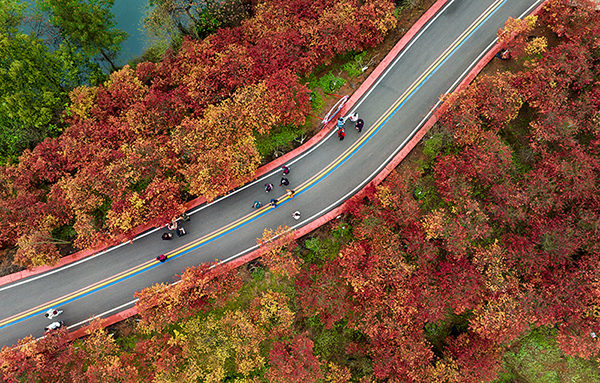 （张）自贡贡井区：追寻家门口的“诗和远方”_fororder_7莲花彩色生态公园