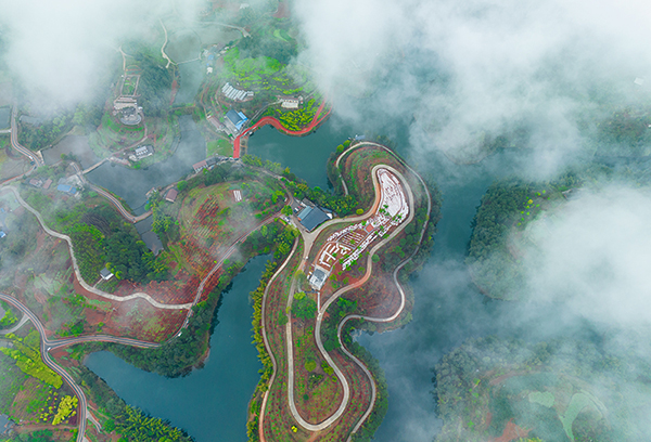 （张）自贡贡井区：追寻家门口的“诗和远方”_fororder_10莲花彩色生态公园