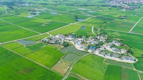 湖北应城：“万亩方”农田建设助推乡村振兴