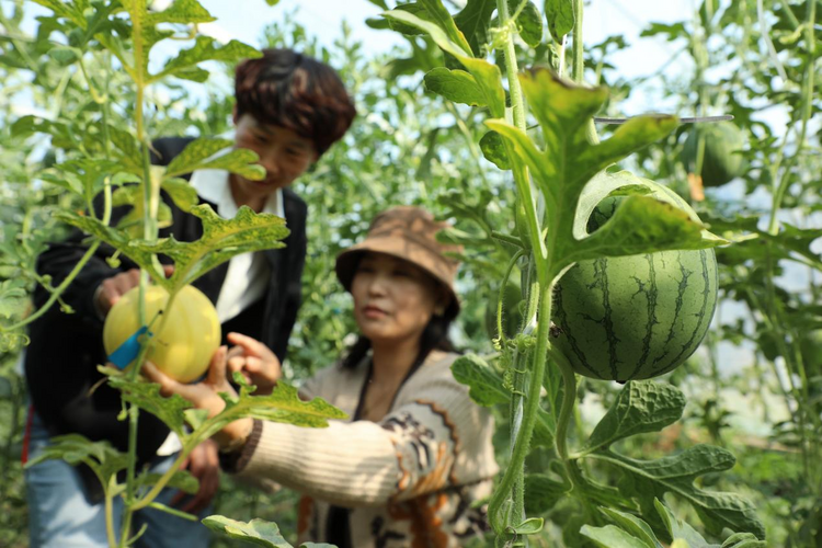 图片默认标题_fororder_图片18