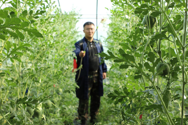 图片默认标题_fororder_图片16