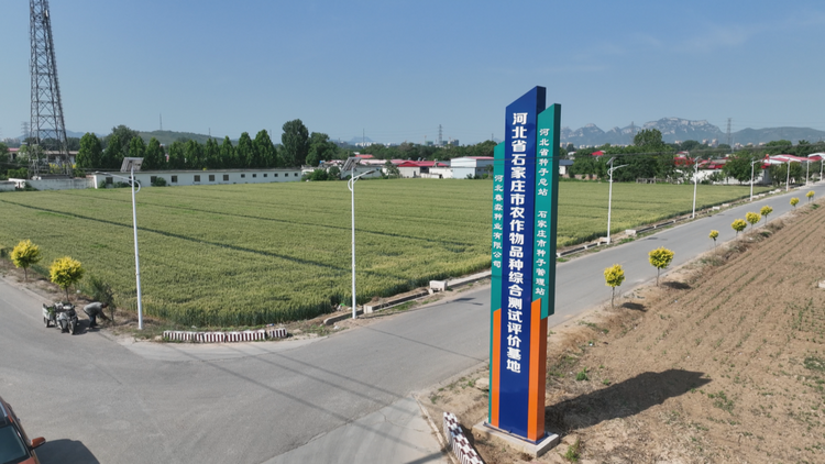 （原创）石家庄市鹿泉区：科技助力加强管理 筑牢夏粮丰收根基_fororder_图片15