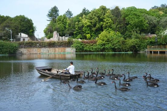 除了岳麓山和橘子洲 “五一”来长沙还有这些景点值得一去_fororder_c