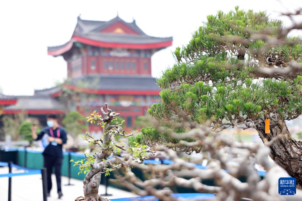 【中首】大运河畔的园博美景